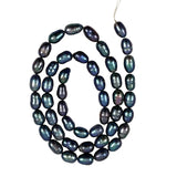 Blue Peacock Freshwater Pearl Beads 