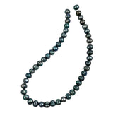 Blue Peacock Freshwater Pearl Beads Strand 9.5mm