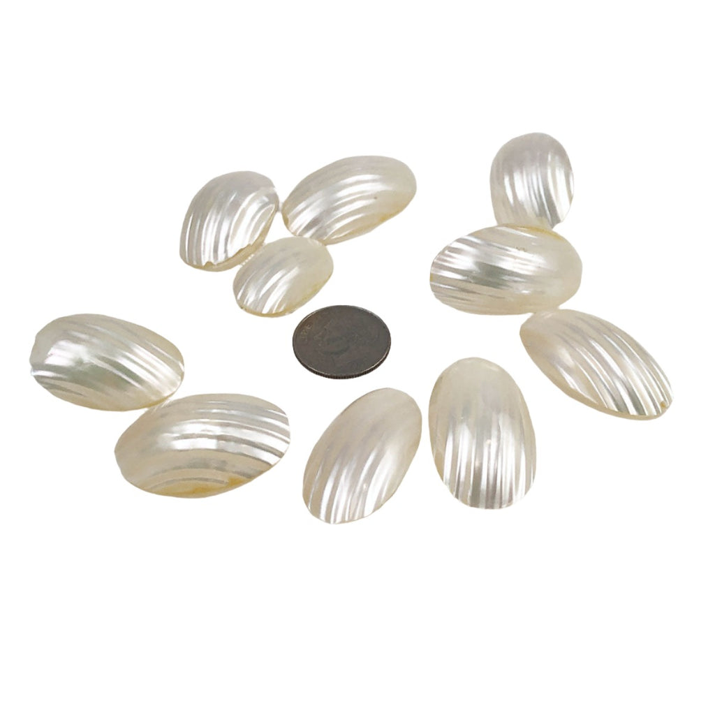 Silver Mouth White Two-Sided Shell Beads (6)